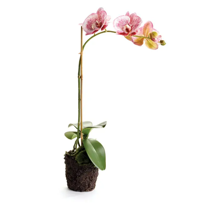 21" Pink Orchid Drop-In