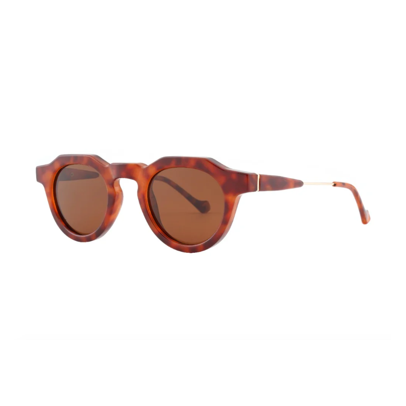 KOA - Polarized Sunglasses - Tortoise/Brown Lens