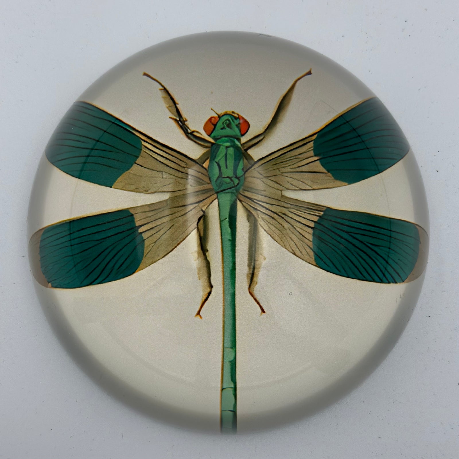 Paperweight Dragonfly