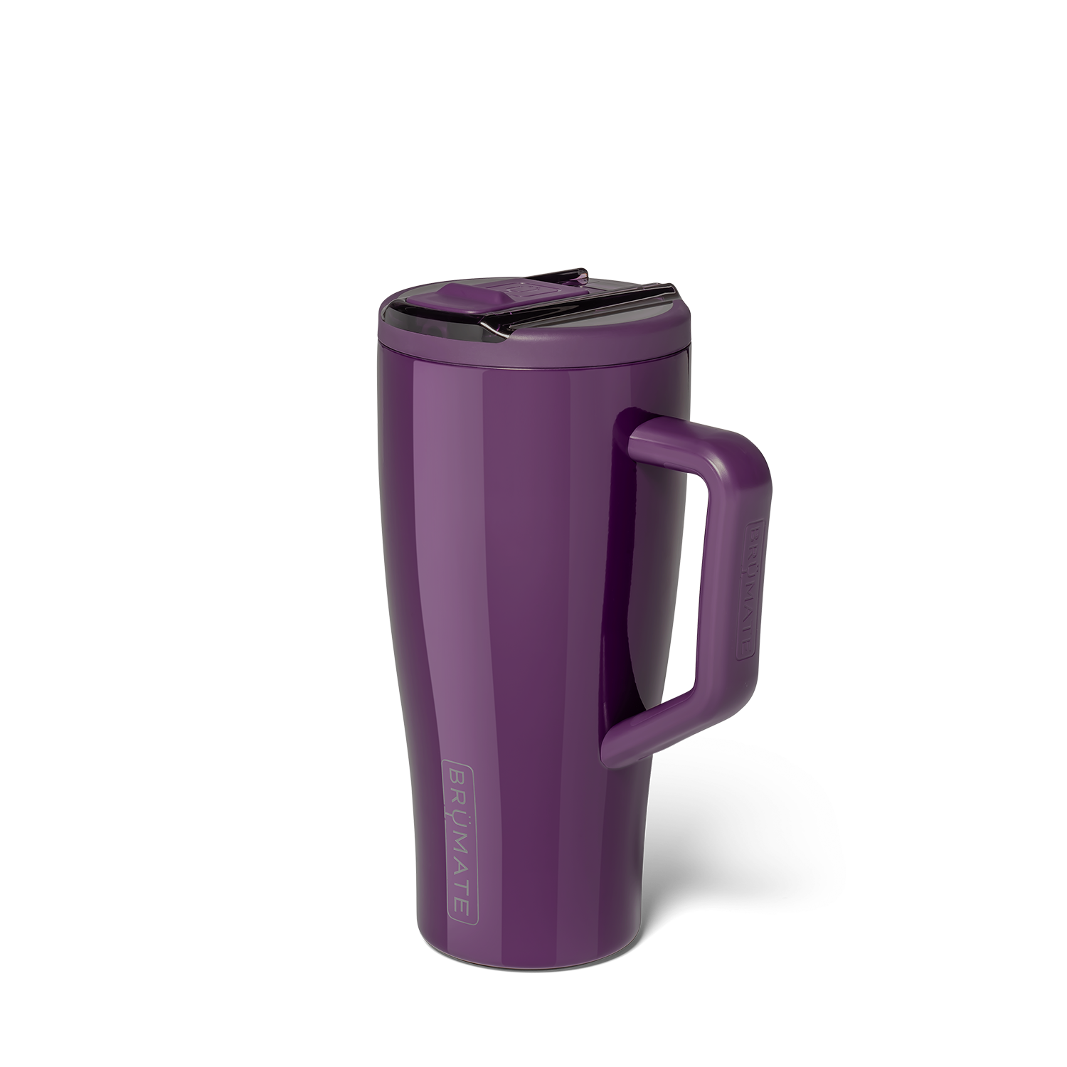 Era Flip 30oz - Plum