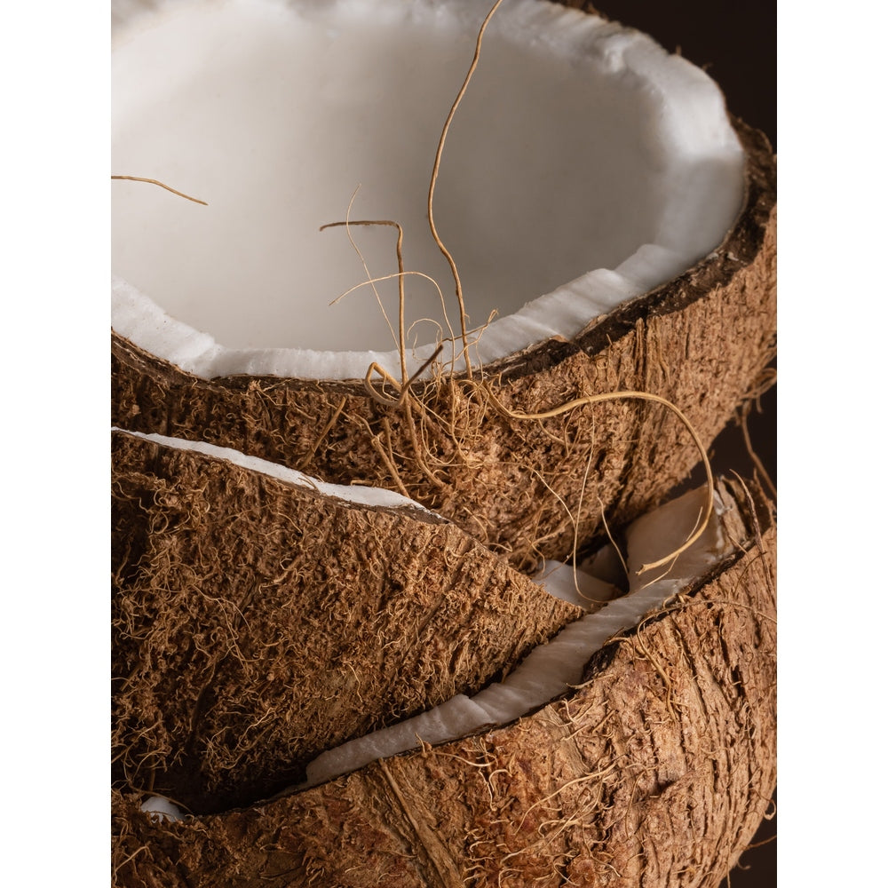 Macro photograph of broken coconut pieces featuring textured brown husks, smooth white interior flesh, and thin wiry sprouts against a dark studio background