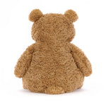 Back view of a brown plush teddy bear with textured fur
