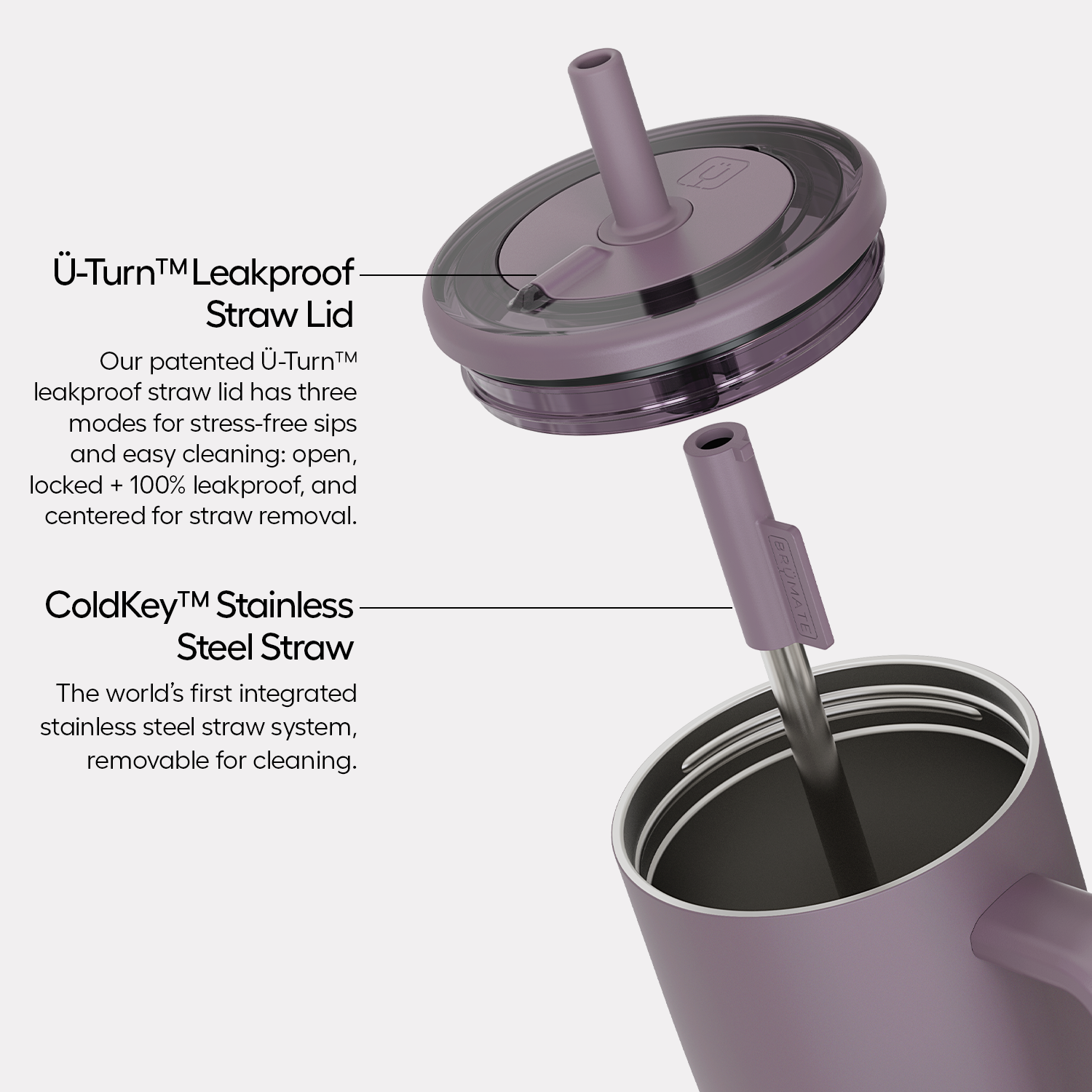 Era 30oz - Violet Crush