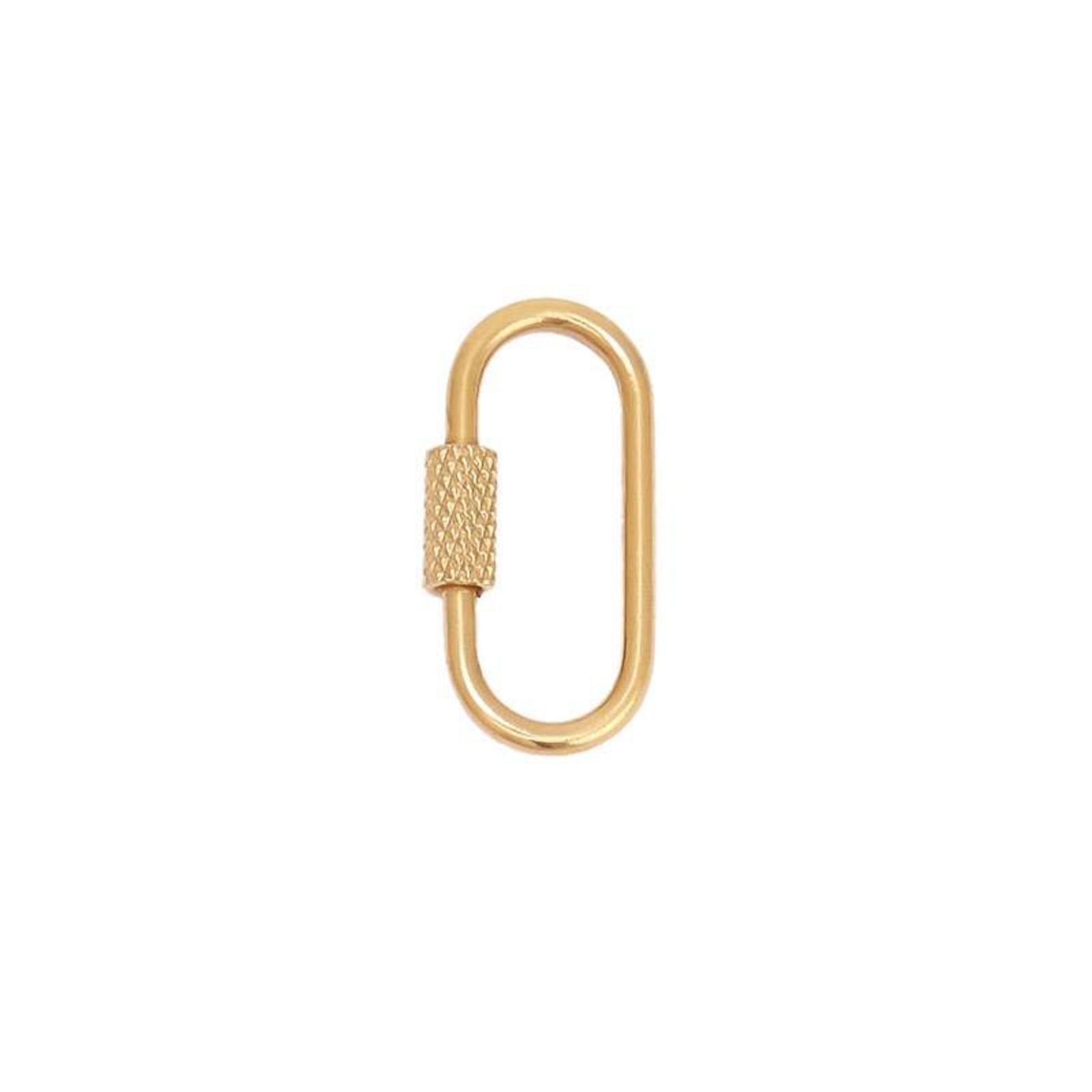 Large Carabiner Clasp
