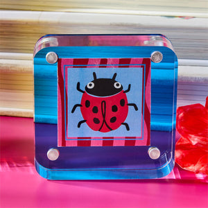 3x3 Mini Acrylic Frame