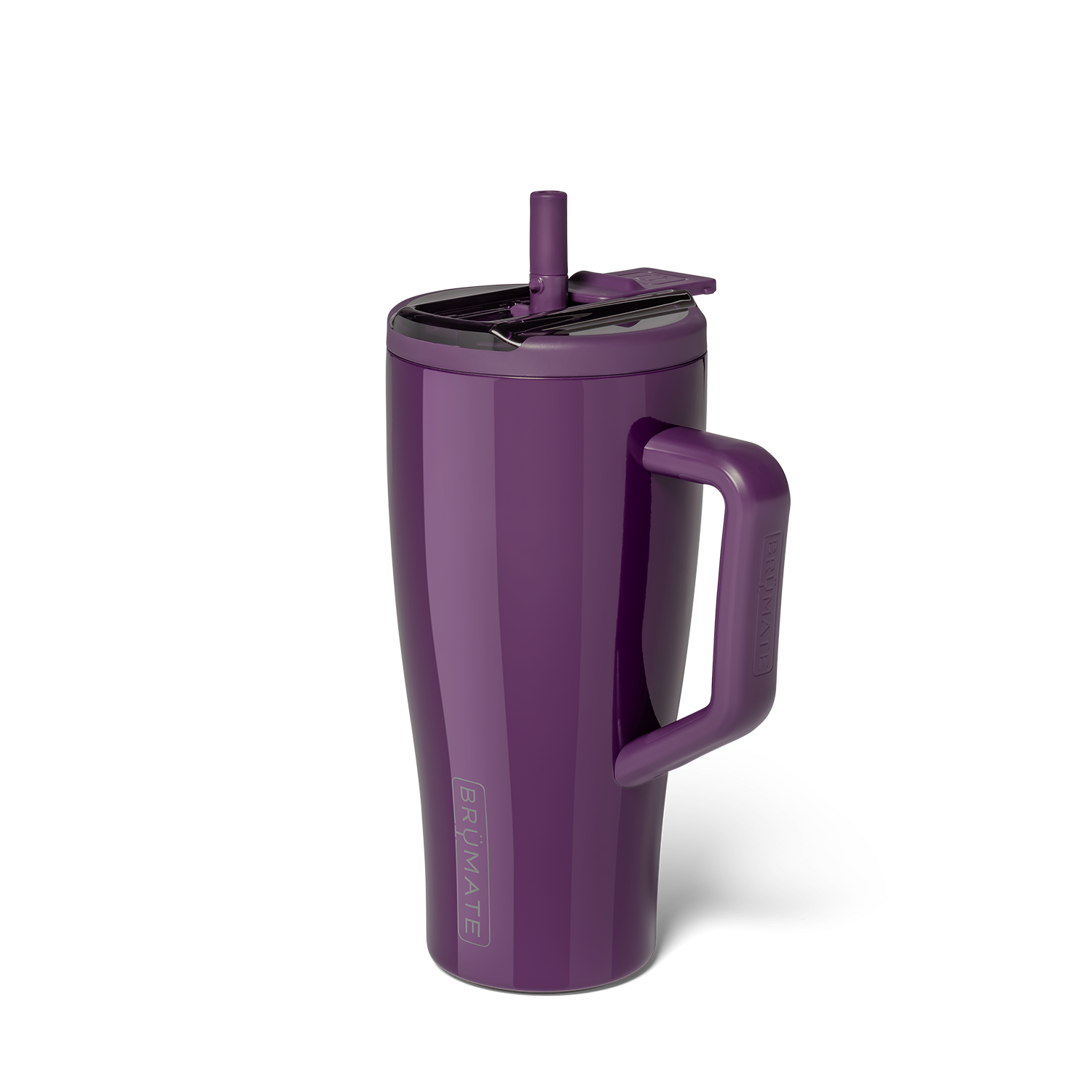 Era Flip 30oz - Plum