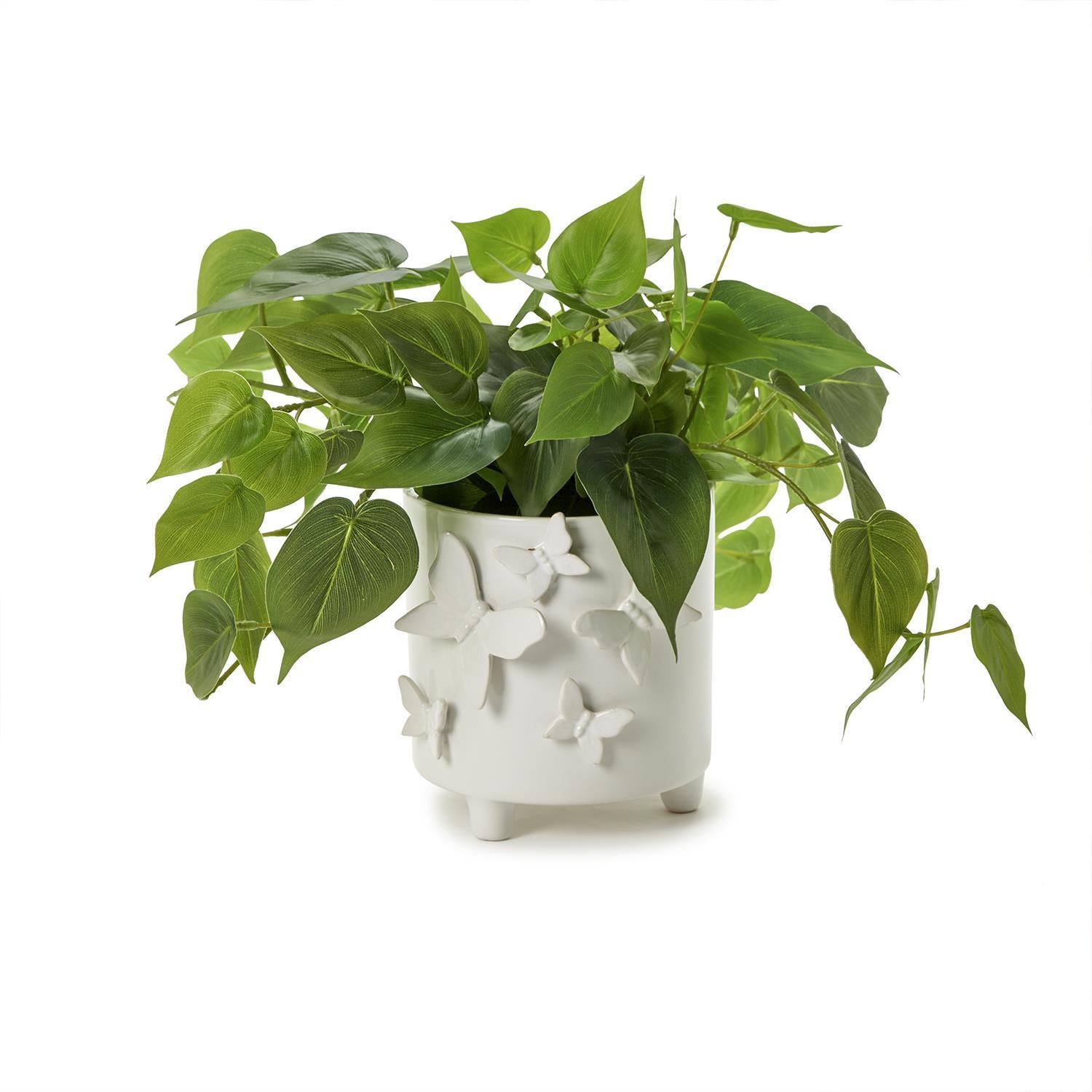 Butterfly Cachepot