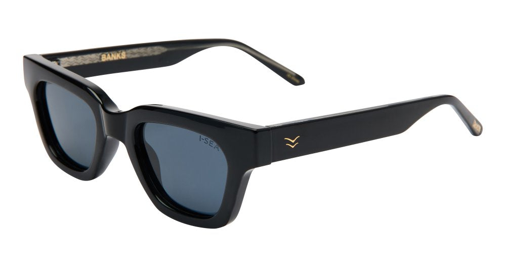 Banks Sunglass- Black/Smoke