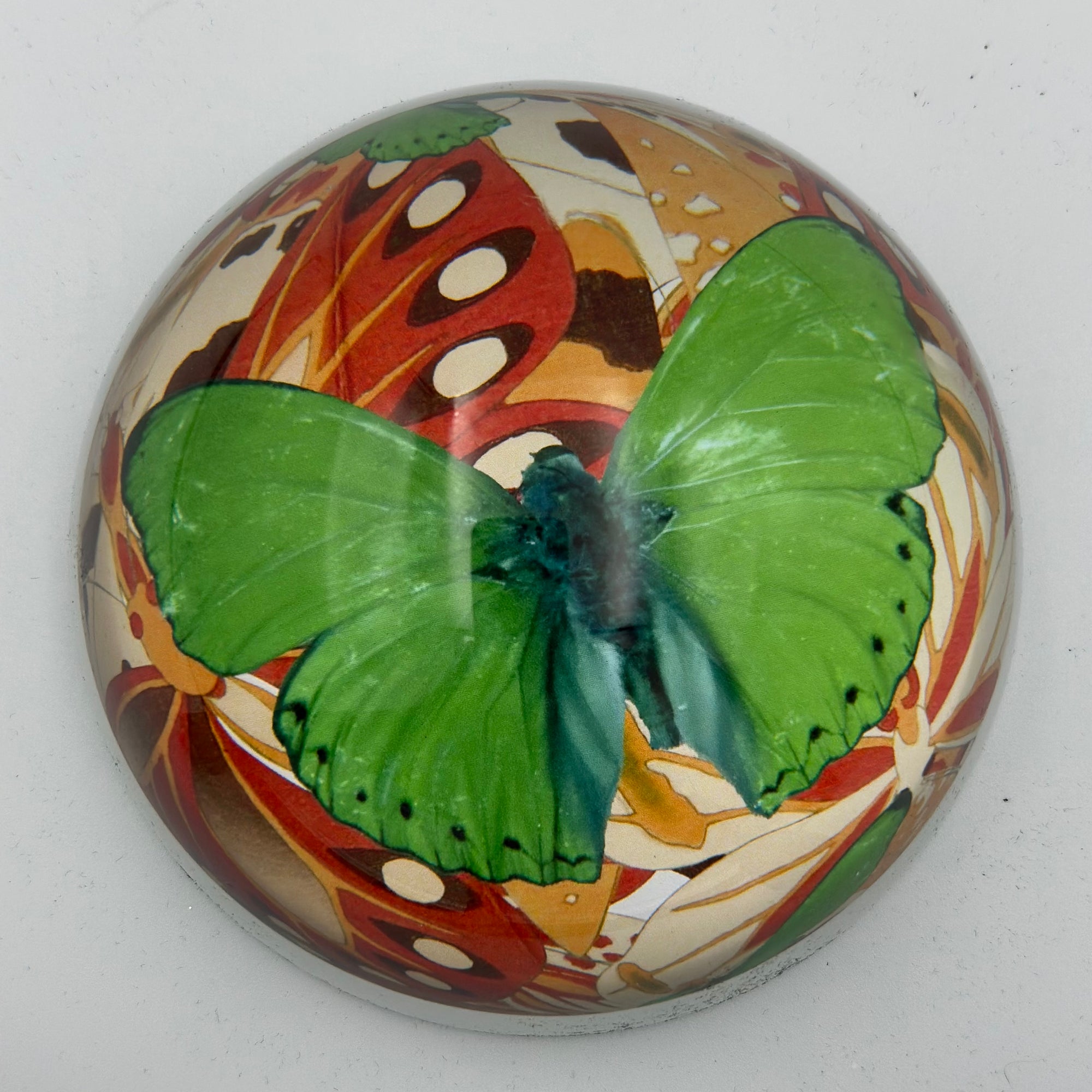 Paperweight Green Moths