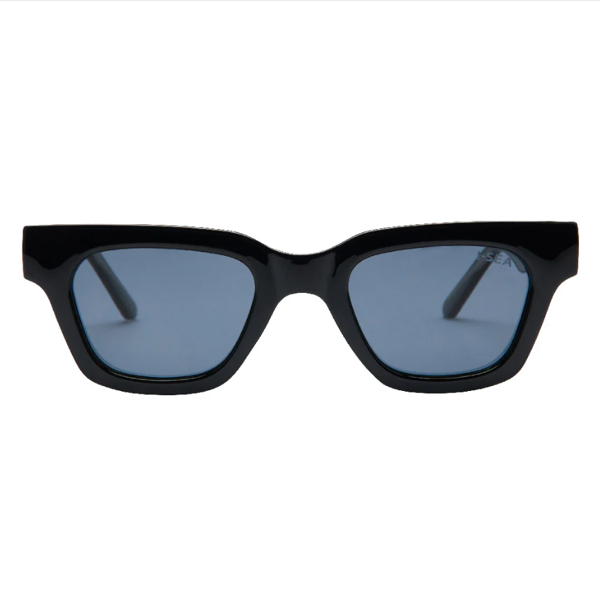 Banks Sunglass- Black/Smoke