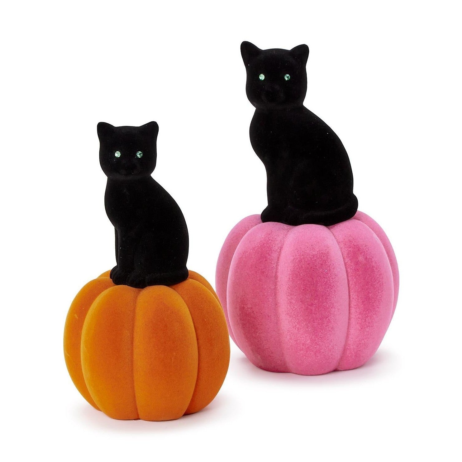 Pumpkins w/ Black Cats