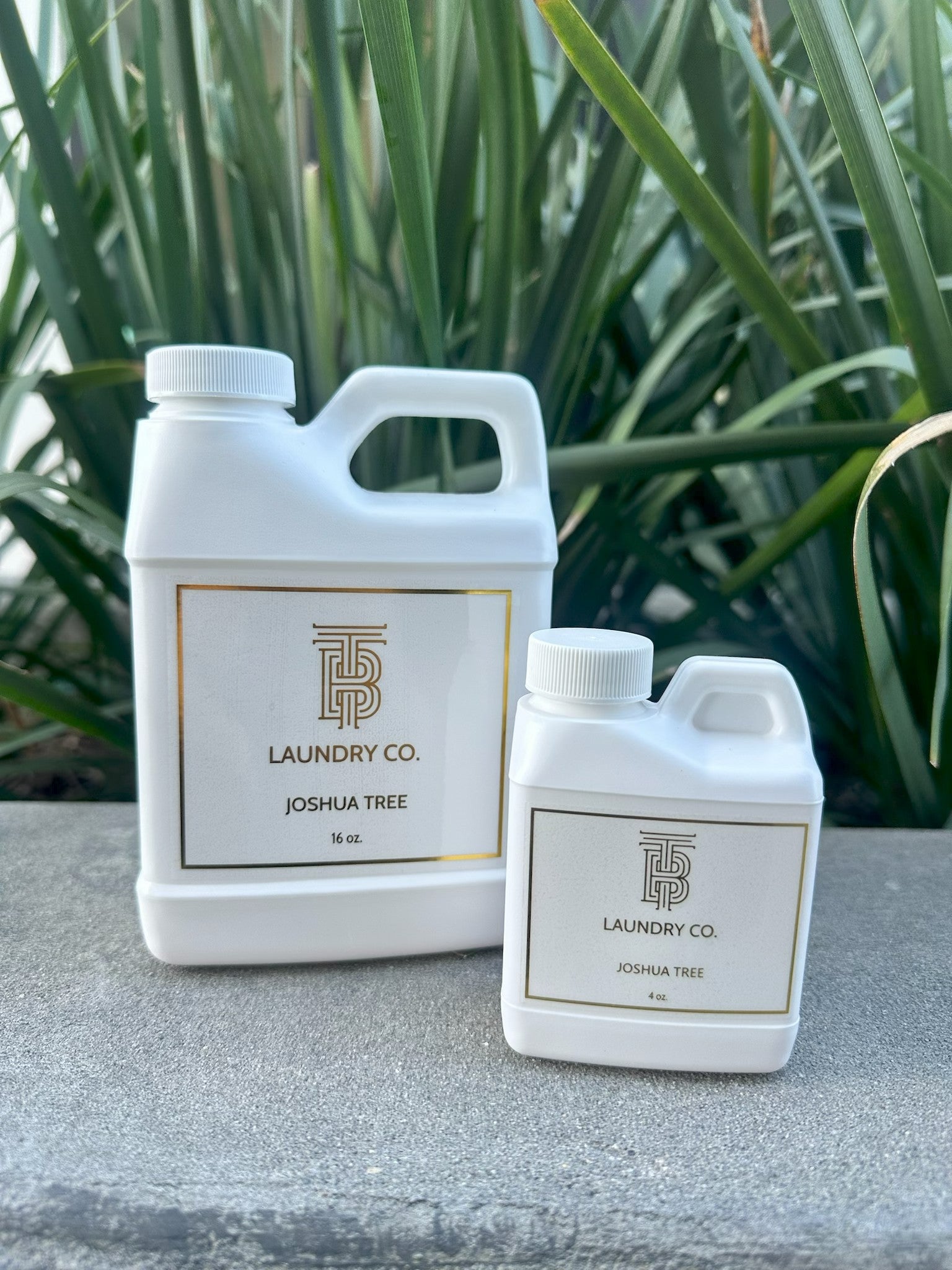 Joshua Tree Laundry Wash-16oz