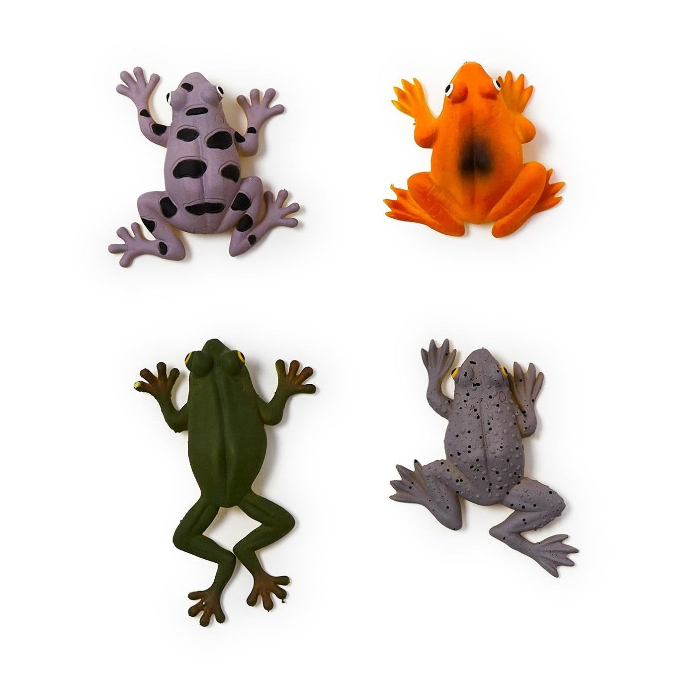 Squishy Froggy