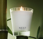 A lit NEST New York frosted glass candle with a unique banded pattern glows softly beside vibrant green bamboo stalks and leaves