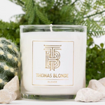 Photograph of a Thomas Blonde Blonde candle in a clear glass jar with a white label featuring a gold TB monogram logo and text, set among a fuzzy green cactus with yellow spines, light beige rocks, and blurred green foliage