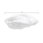 White oyster shell trinket dish measuring five inches in width