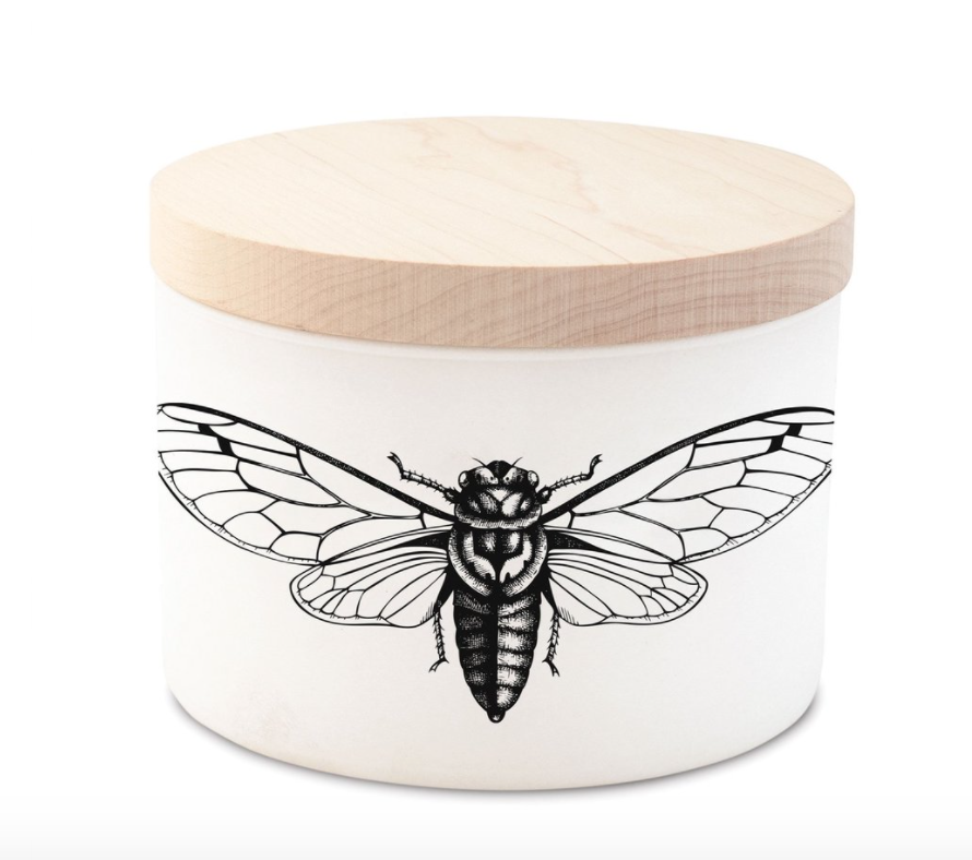 White ceramic jar with a wooden lid featuring a black ink illustration of a cicada