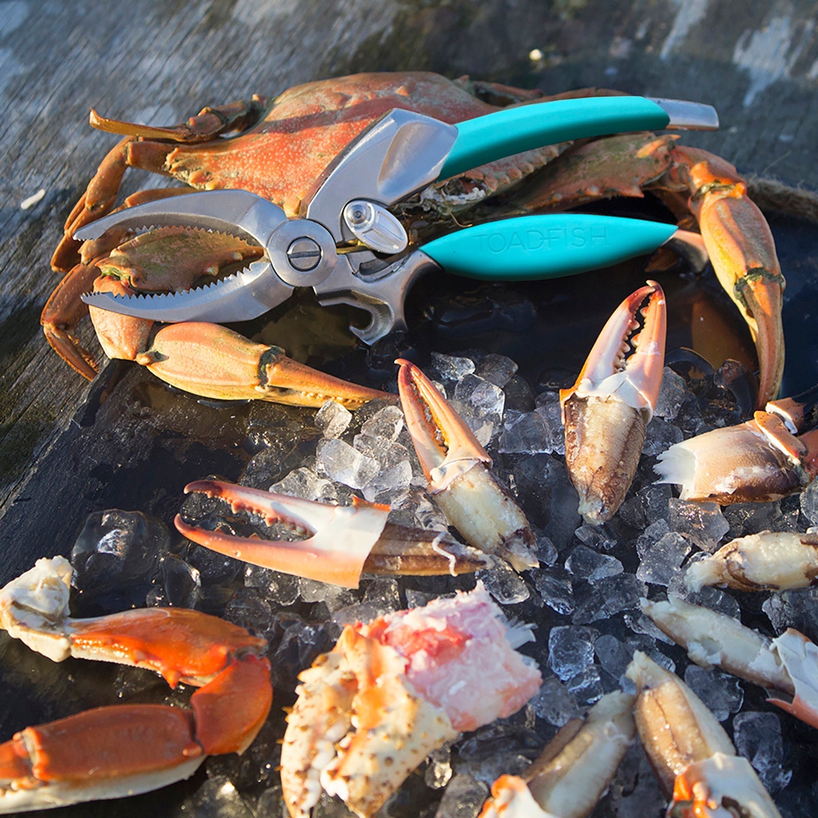 Toadfish crab cutter tool resting on a cooked crab and crab claws on ice