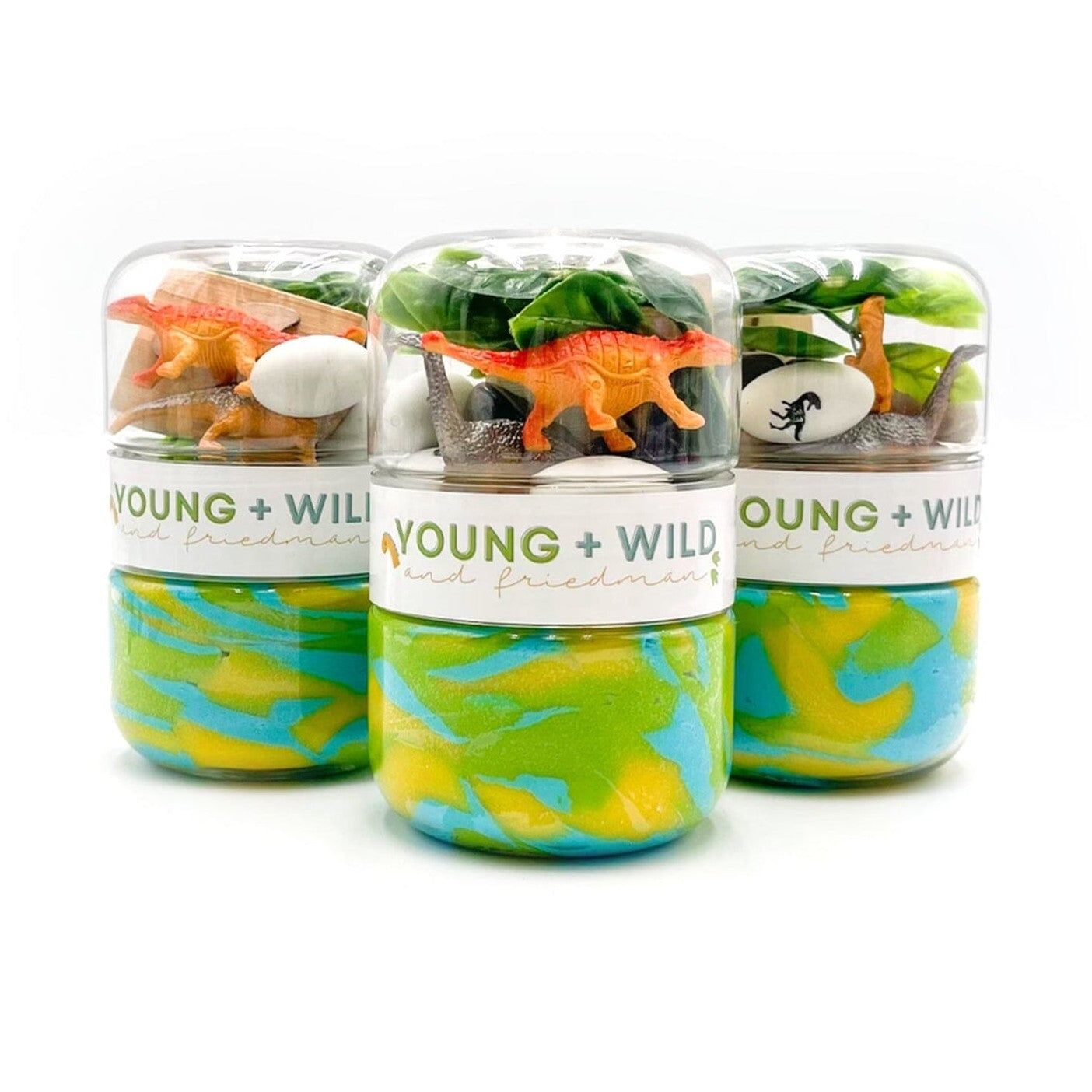 Dinosaur Grab & Go Dough Jar