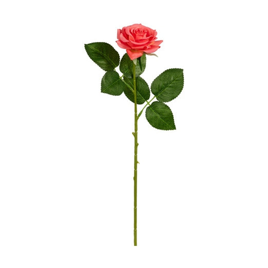 Orange Rose Stem