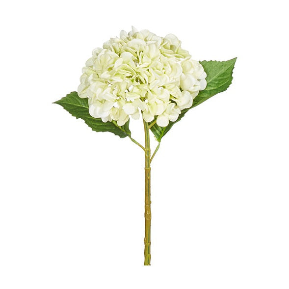 Lt Green Hydrangea Stem