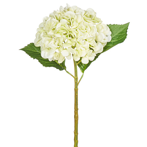 Lt Green Hydrangea Stem