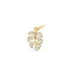 Gold jewelry charm featuring a bright gold monstera leaf pendant with a split design, encrusted with sparkling pavé cubic zirconia on a white background