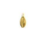 Gold jewelry, a cowrie shell charm with a golden luster, textured central ridge, and small attachment loop