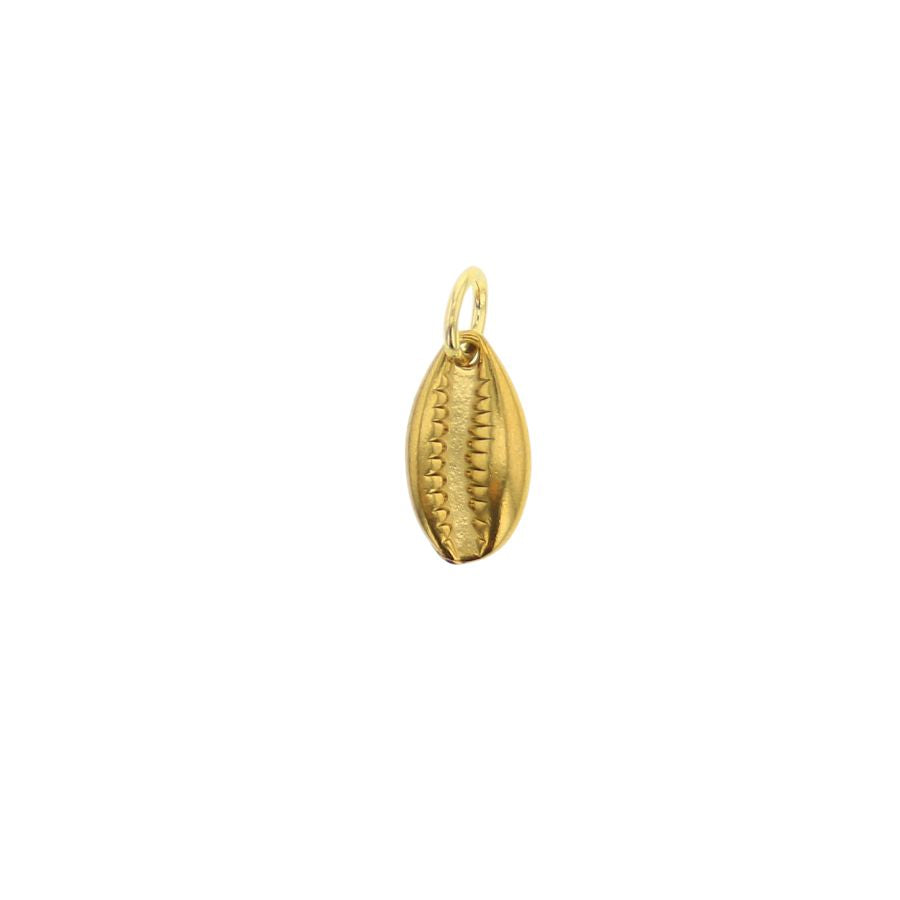Gold jewelry, a cowrie shell charm with a golden luster, textured central ridge, and small attachment loop
