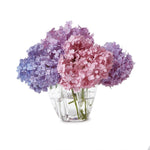 Bouquet of vibrant pink purple and blue hydrangeas arranged in a clear faceted glass vase with water