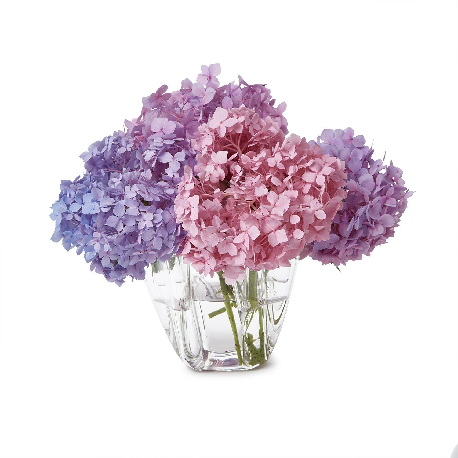 Bouquet of vibrant pink purple and blue hydrangeas arranged in a clear faceted glass vase with water