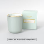Light green candle in a glass jar with gold rim next to matching box labeled haven