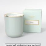 Light green candle in a glass jar with a gold rim next to its matching box labeled Haven