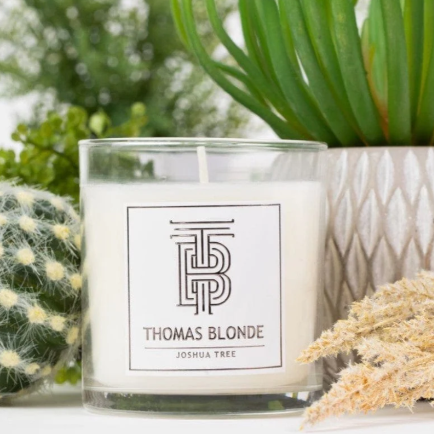 Product photograph of a Thomas Blonde Joshua Tree scented candle featuring white wax in a clear glass jar with a black and white logo, positioned amongst a fuzzy green cactus, a vibrant green succulent in a textured grey pot, and dried beige pampas grass