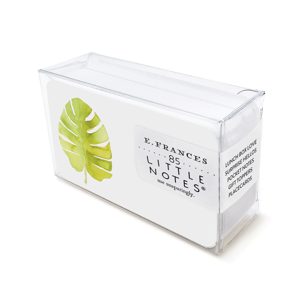 Clear plastic box containing E Frances Little Notes stationery with a green monstera leaf illustration