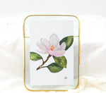 Watercolor painting by BD of a pink and white magnolia flower with a yellow center and vibrant green leaves on a brown branch, elegantly displayed in an antique gold-framed glass float frame against a soft white lace background
