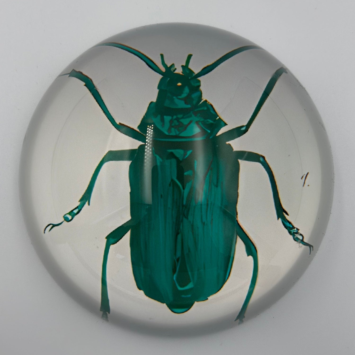 Clear resin paperweight featuring a vibrant teal beetle with prominent antennae segmented legs with small claws and a subtle number one marking on the right
