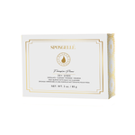 Spongelle Freesia Pear pedi buffer box packaging