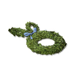 Preserved boxwood bunny-shaped wreath made of vivid green leaves and adorned with a delicate light blue ribbon tied at its neck on a clean white background