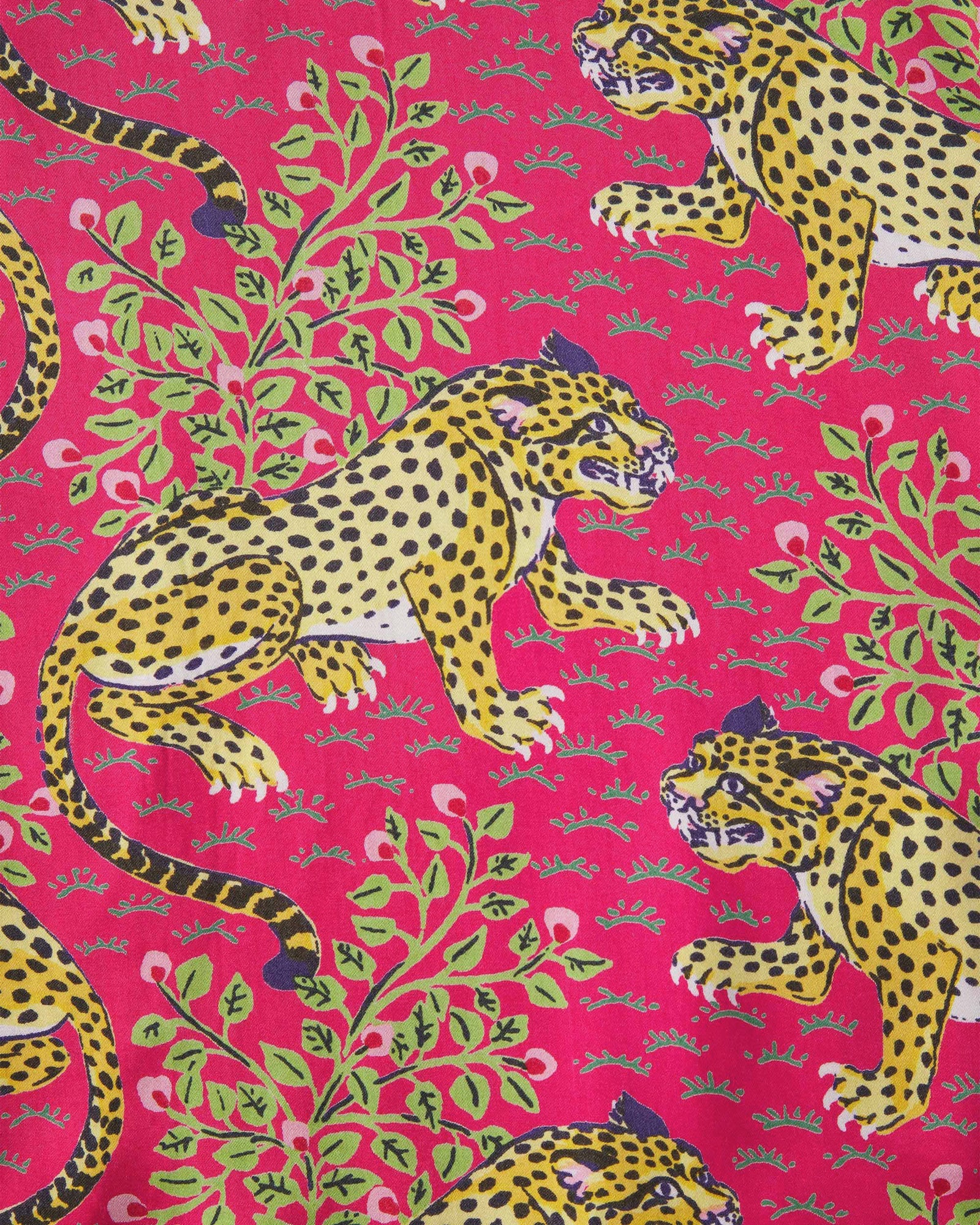 Bagheera Wildest Dreams