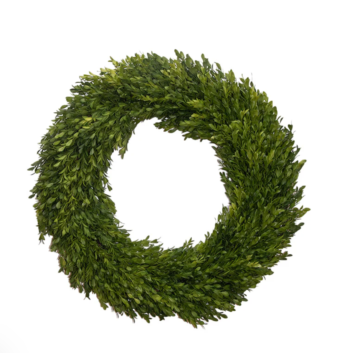 Round Boxwood Wreath 24"
