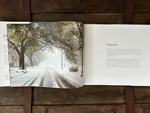 Photograph depicting a rare snow day on St Charles Avenue in Uptown New Orleans, showing majestic green live oak trees heavily blanketed with snow, distinct dark tire tracks on the street, and a solitary pedestrian walking through the foggy landscape