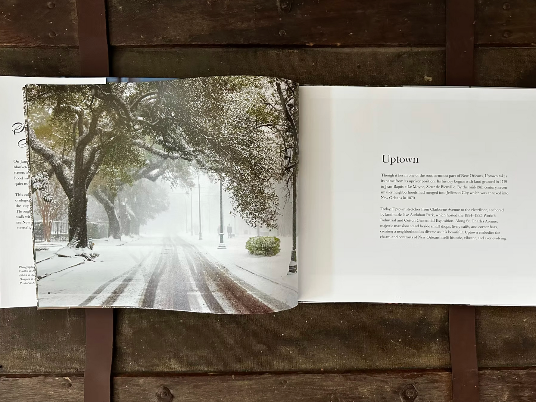 Photograph depicting a rare snow day on St Charles Avenue in Uptown New Orleans, showing majestic green live oak trees heavily blanketed with snow, distinct dark tire tracks on the street, and a solitary pedestrian walking through the foggy landscape