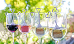 Four wine glasses holding red, rosé, and white wines each contain a silver-grey 'The Wand' purifier with distinct bow-tie, diamond, heart, and clover top designs, set against a vibrant green outdoor backdrop