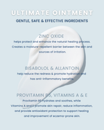 An informational graphic for Ultimate Ointment showcasing a white cream swirl with key ingredients like Zinc Oxide for protective barriers, Bisabolol and Allantoin for anti-inflammatory hydration, and Provitamin B5 with Vitamins A and E for skin repair on a light blue background