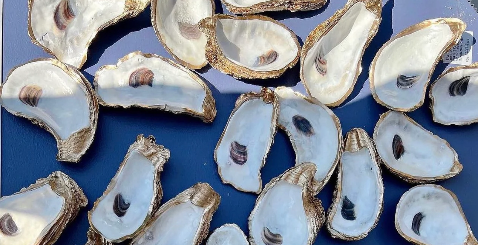 Large Oyster Ring Dish
