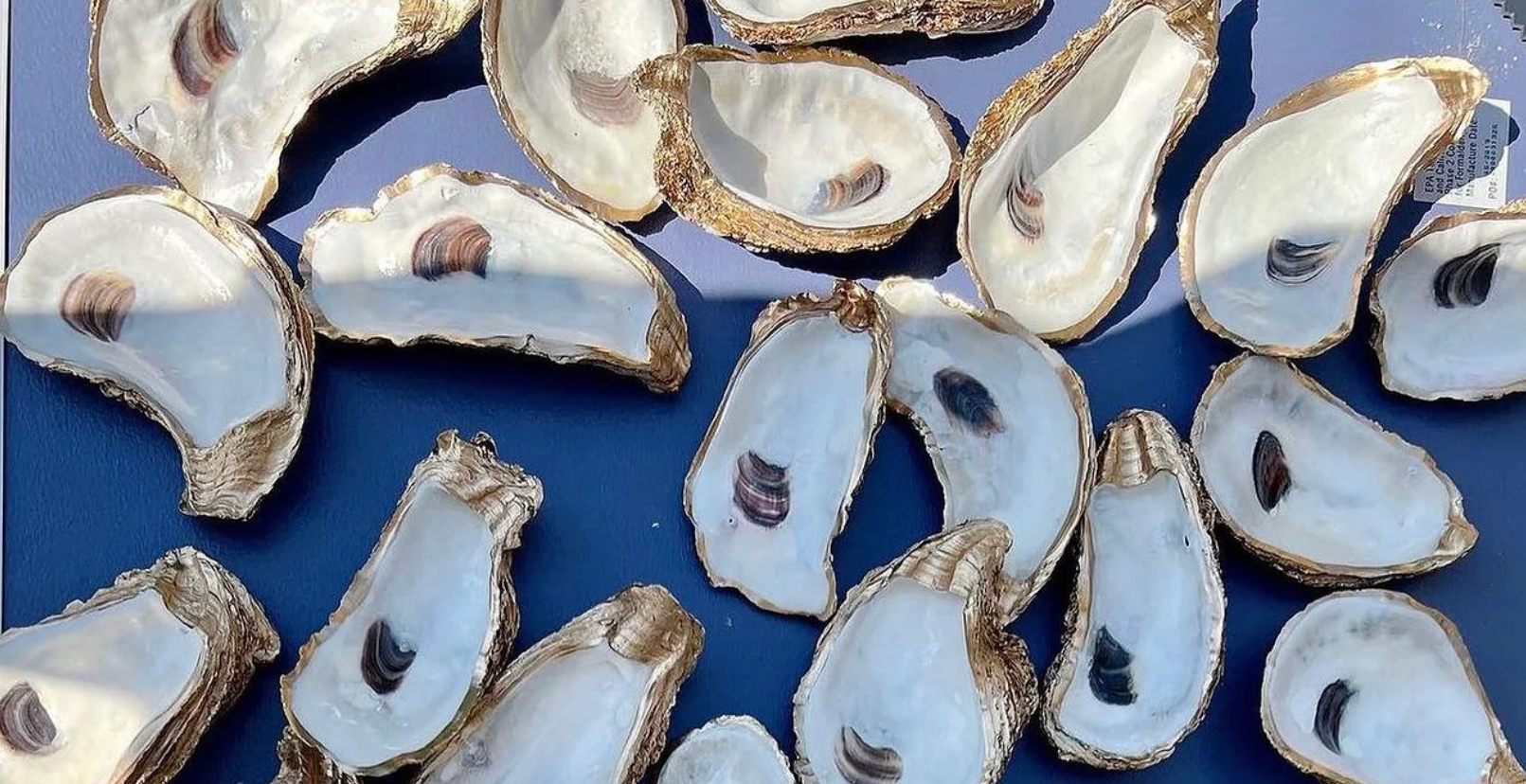 Large Oyster Ring Dish