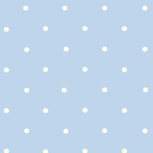 Baby Blanket- Blue Pin Dot