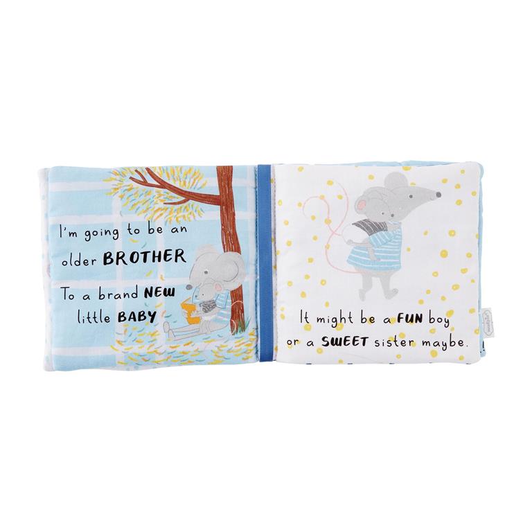 Big Brother Book & Pin Set