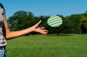 Wingman Disc